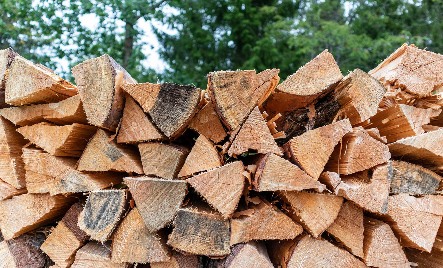 Green Wood Logs - One Tonne